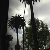 Hakon Ottarsson's photo