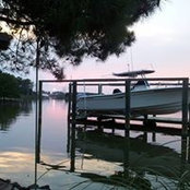 Nancy Schuchart's photo