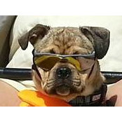 Bobbie Isaac's photo