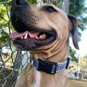 Catherine Wielki's photo