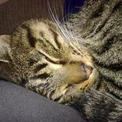 Eva Zovko's photo