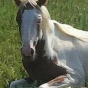 Foto von Amanda Verkruissen-Burnett