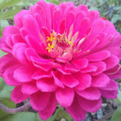 Mythili M's photo