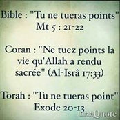 Sonia Cascino's photo