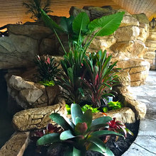 Pool landscape