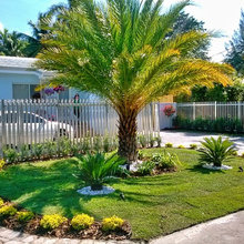 landscaping
