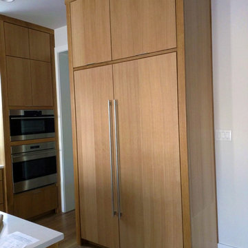 Kitchens - Contemporary Cabinets