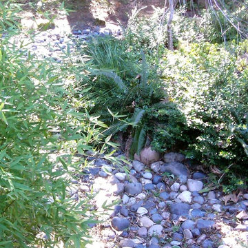 RAIN GARDENS, BIO-SWALES, GREEN DRAINAGE SOLUTIONS