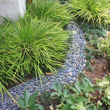 Garden Paths