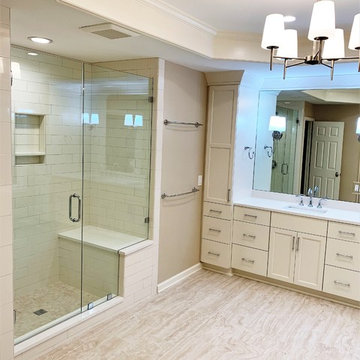 Wrights Mill Circle - Master Bathroom Renovation