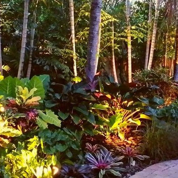 Tropical Paradise - Backyard Makeover