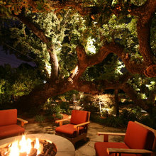 LANDSCAPE LIGHTING