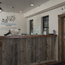 Small Animal Clinic AZ