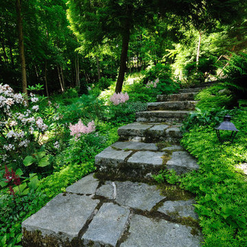 LaurelRock Company: Fern Valley