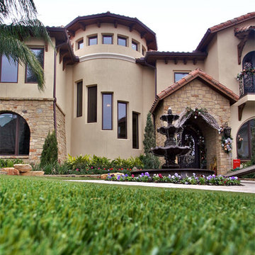 SYNLawn | Close-up Shots