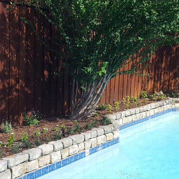 Front Yard Clean-up + Sunny Backyard Design