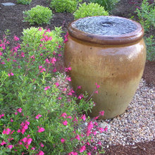 Landscape Ideas