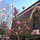 jessie_liu3253924