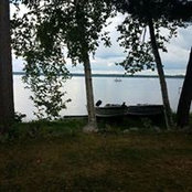Lisa Nienow's photo