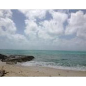 Widalys Pastoriza's photo