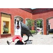 Ruben Pichardo's photo