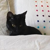 Thierry Labourdette's photo