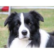 Thomas Kahl's photo