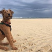 Tamson Barber's photo