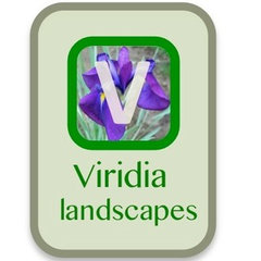 Viridia landscapes