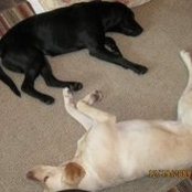 Nancy Butterly's photo