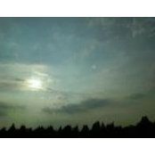 Kayla Clements's photo