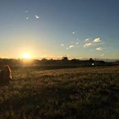 Tomi Vernetti's photo