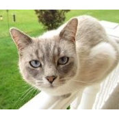 Sarah Koczan's photo
