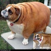 James Miller's photo