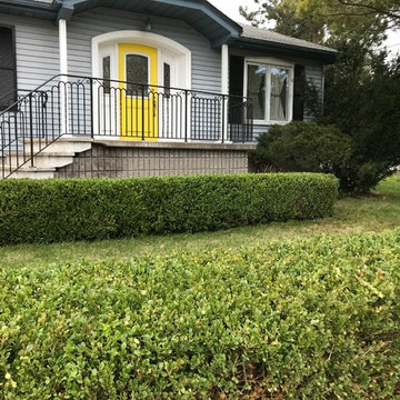 Hedges AFTER Trimming
