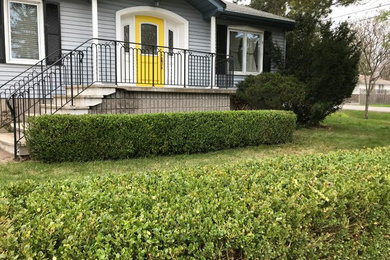 Hedges AFTER Trimming