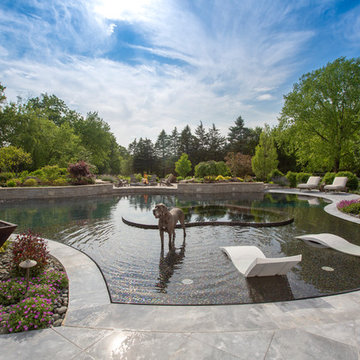 Barrington Hills, IL Freeform Perimeter Overflow with Perimeter Overflow Hot Tub