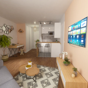 Rénovation d'un salon - Saint-Mandé