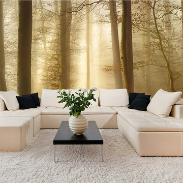 Inspirational Wall Murals