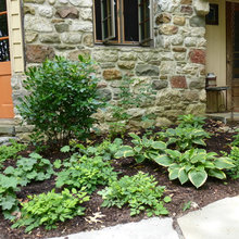 front plantings