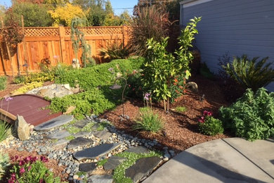 This is an example of a garden in Sacramento.