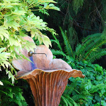 Garden Water Features