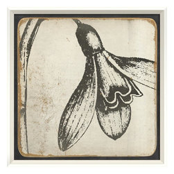 The Artwork Factory - Vintage Flower III Framed Artwork - Prints And Posters
