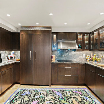 Modern Kitchen Design Washington, DC