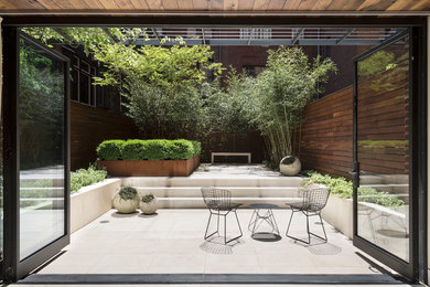 Mid-sized contemporary backyard patio in New York with a container garden and no cover.