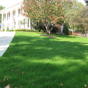 Lawn Rescue Project: Heritage Lawns