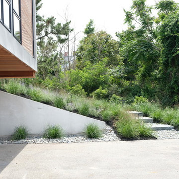Modern Oceanfront Landscape - Cohasset