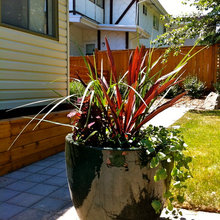 Container planting ideas