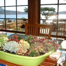 erica_reynolds’s ideas