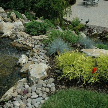Backyard Ponds